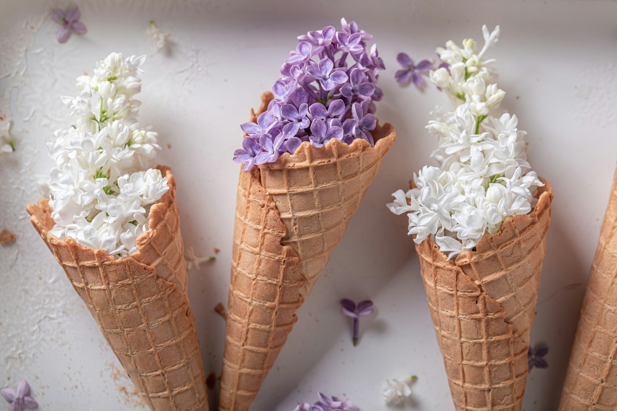 Lovely lilac flowers in wafer cone. Summer flower composition.