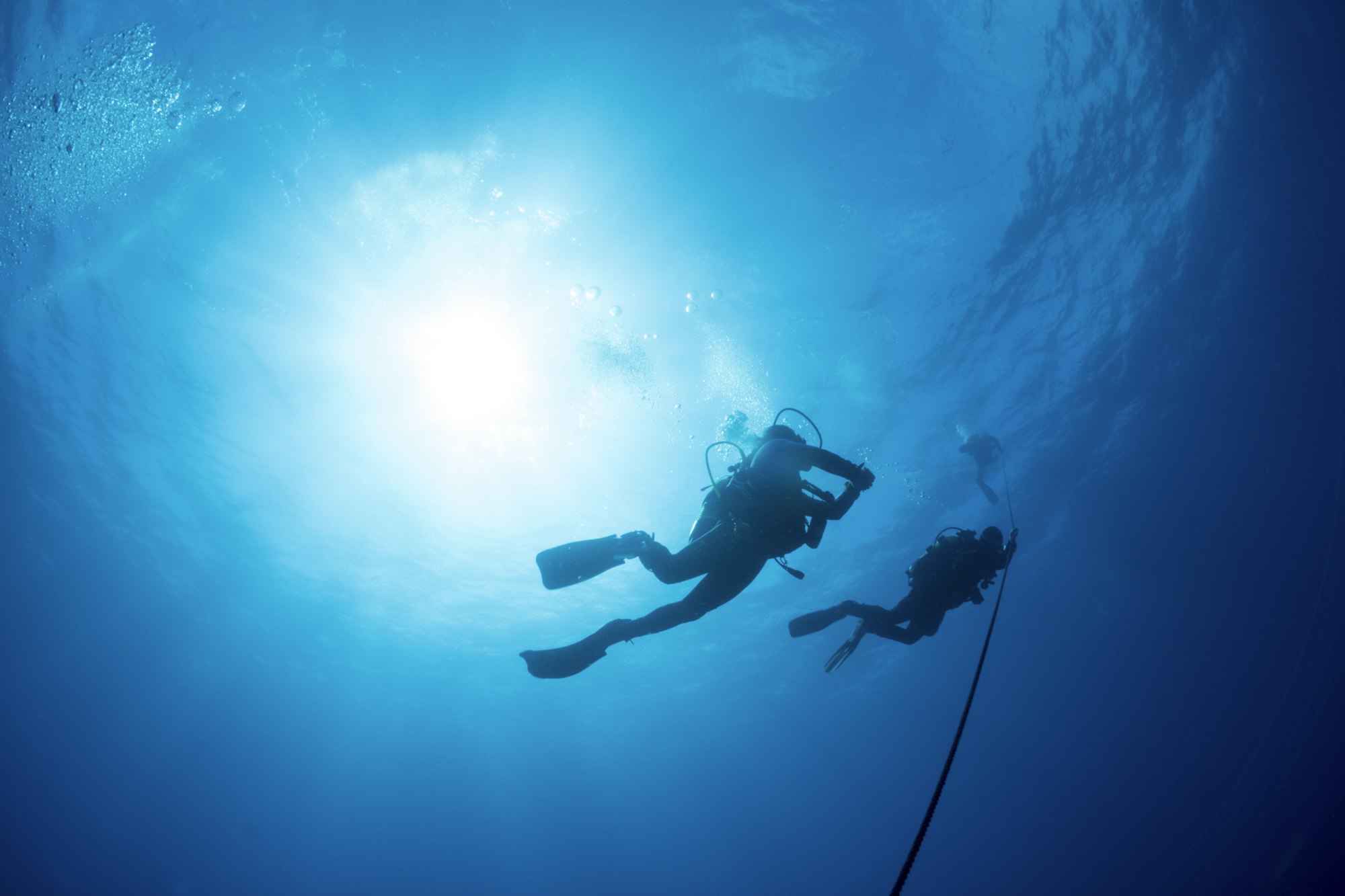 Two Silhouetted Diver Ascend an Anchor Line at the End of a Scuba Dive