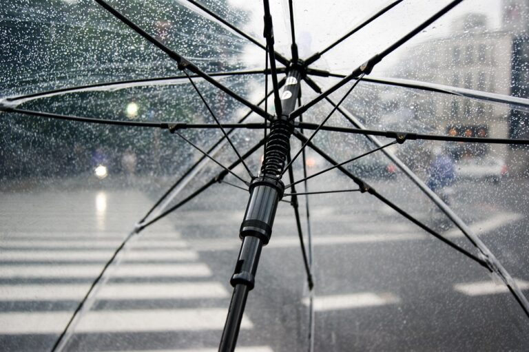 umbrella, rain, wet, weather, nature, cold, raindrops, clear umbrella, city, crosswalk, storm, rainy, parasol, water