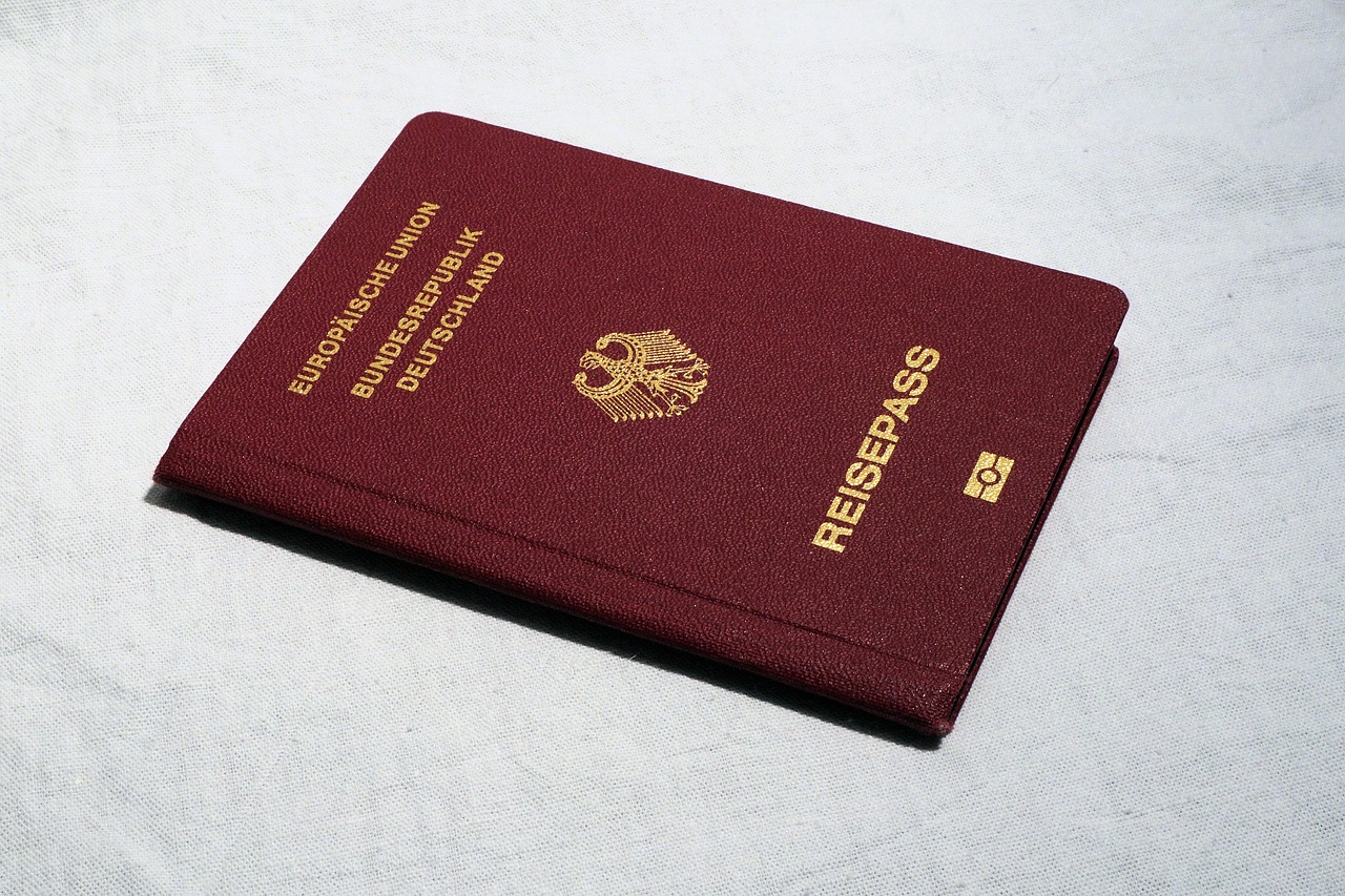 passport, travel, document, id, identity card, travel document, passport, passport, passport, passport, passport, docume