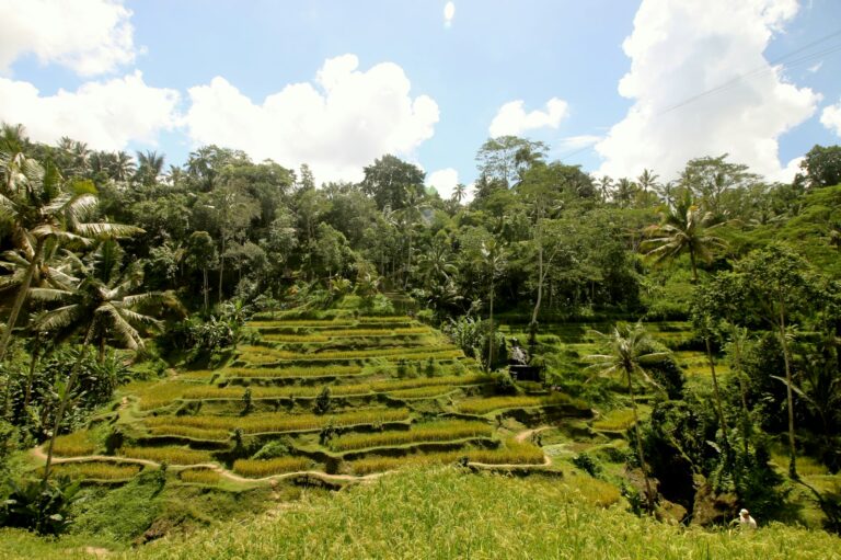 Bali Travel Guide: Where to Stay, What to Do, and How to Get Around
