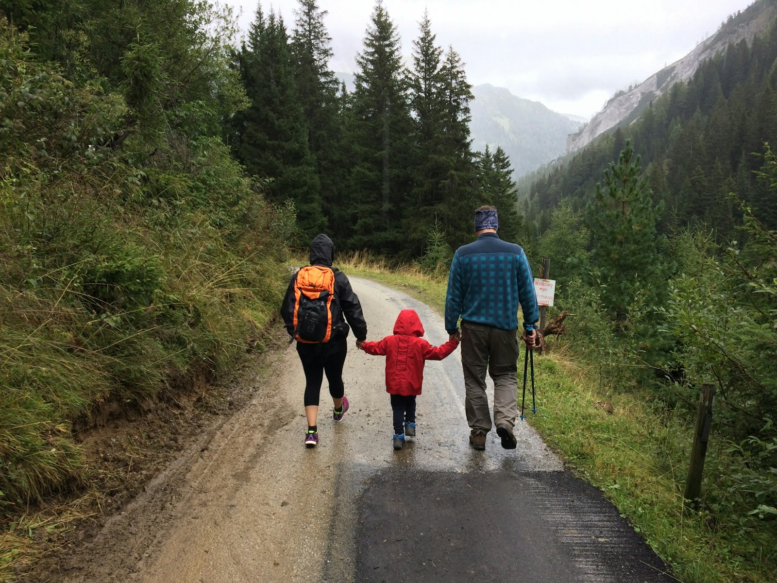 A family of four walking on a dirt trail in a national park with trees and mountains in the background