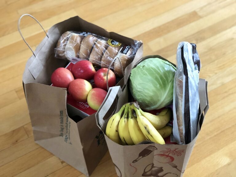 budget travel groceries shopping reusable bag - unsplash