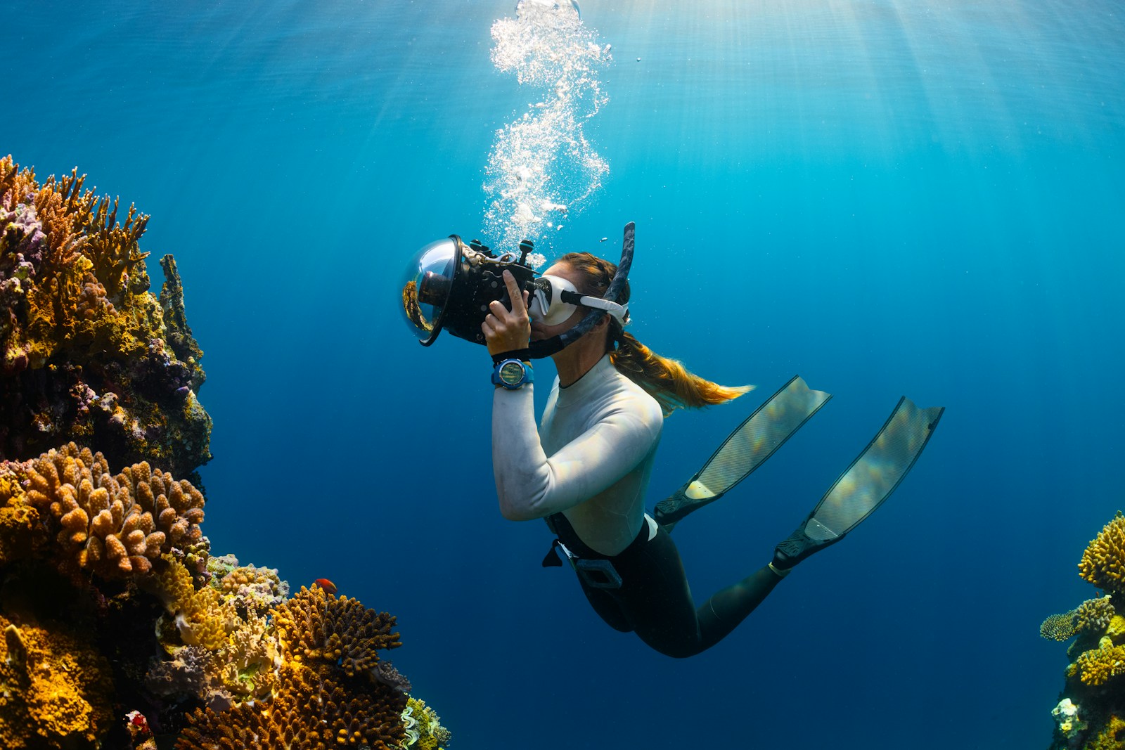 Scuba diver exploring a colorful coral reef underwater