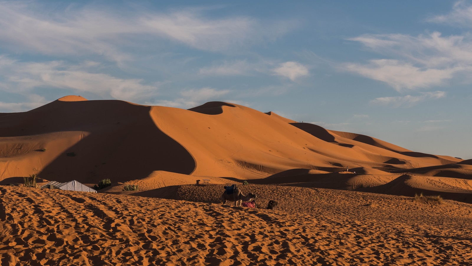 Golden sand dunes of Erg Chebbi at sunset with a camel caravan silhouette