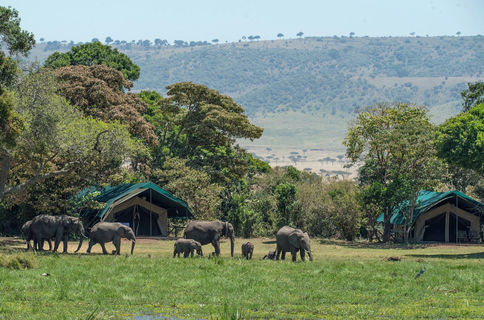A luxury canvas tent with a veranda overlooking the Okavango Delta in Botswana