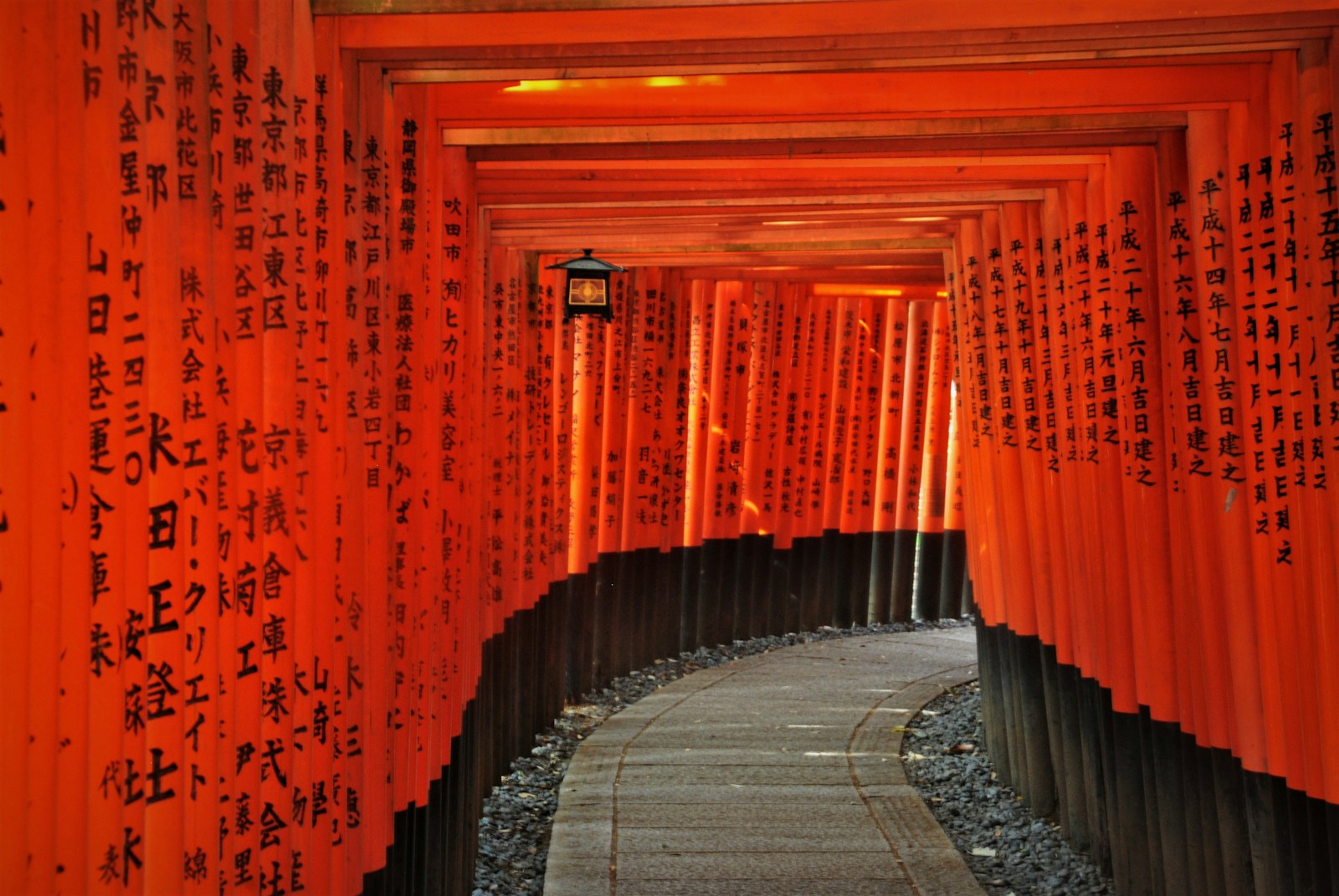 The iconic vermilion torii gate tunnel at Fushimi Inari Taisha in Kyoto with soft evening light