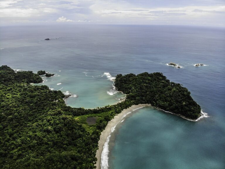 Costa Rica Travel Guide: Rainforest, Beaches, and Wildlife