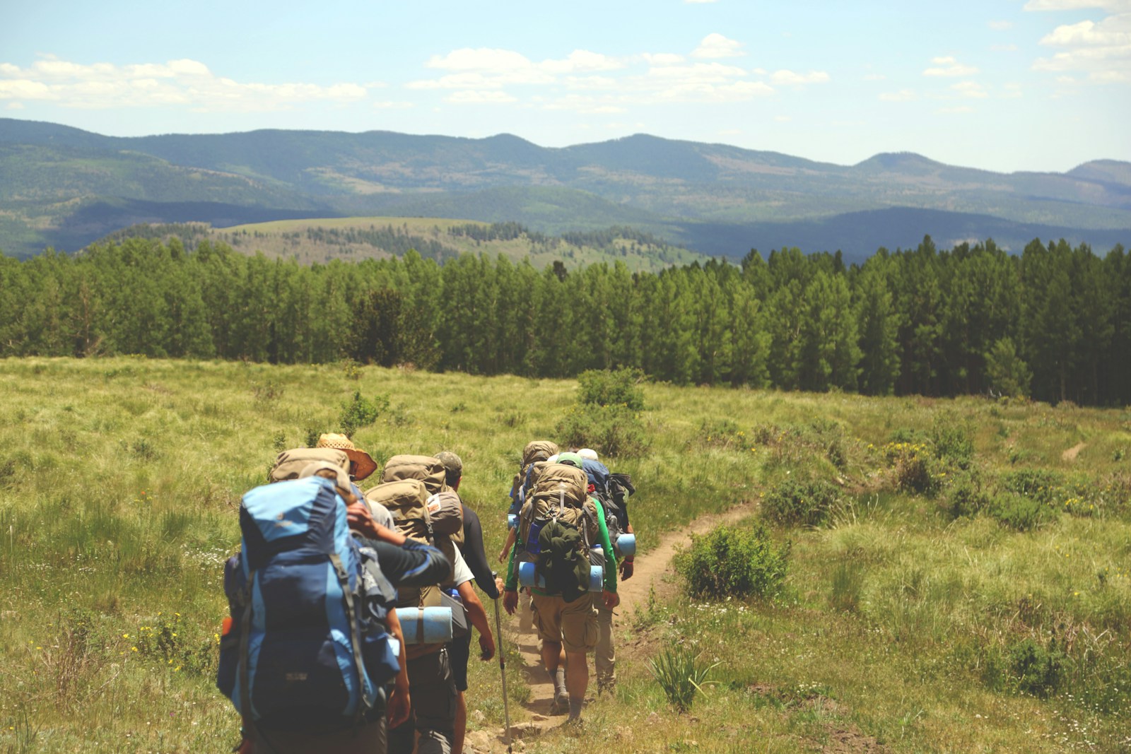 A group of backpackers hiking together on a scenic mountain trail