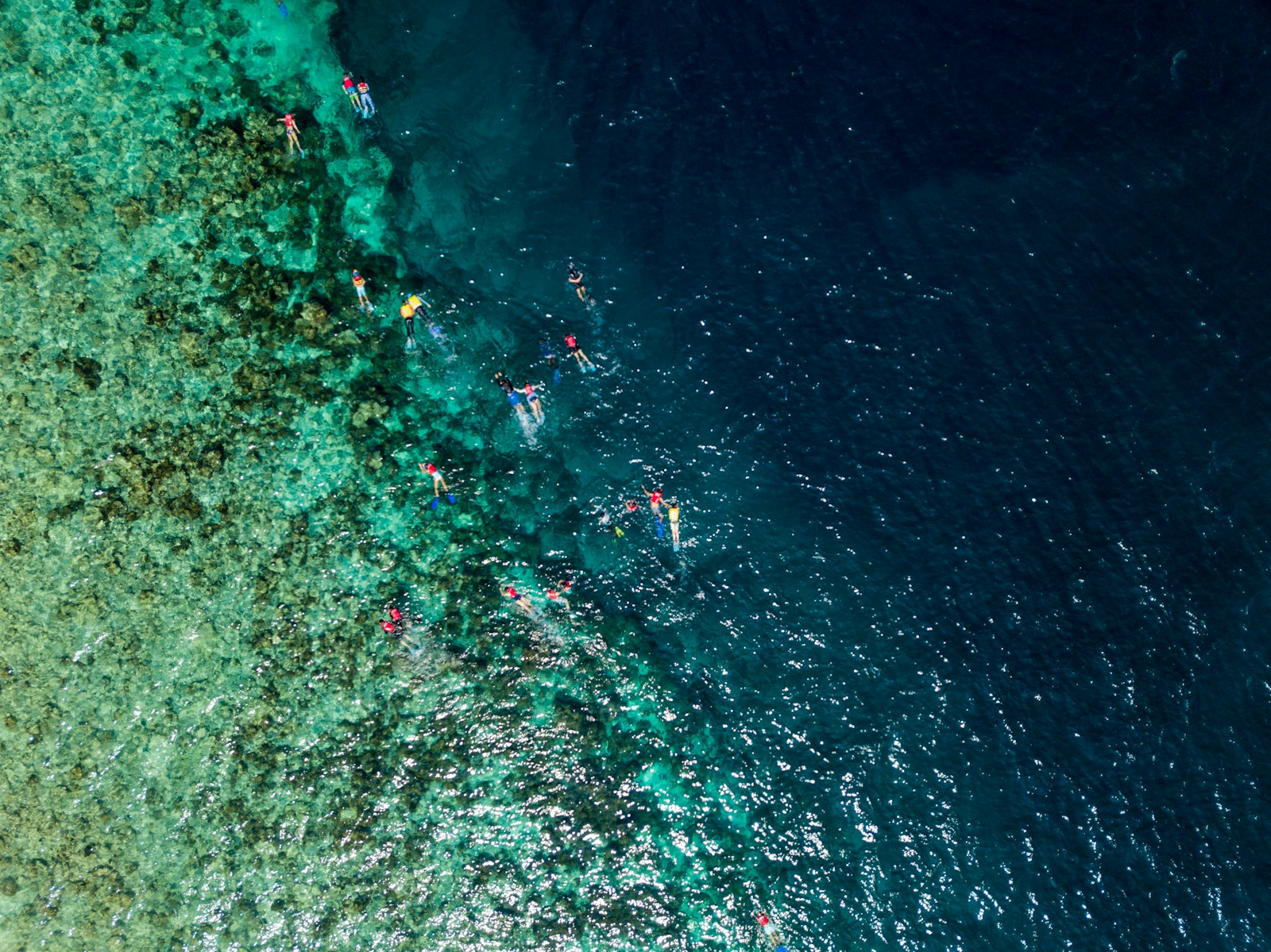 Snorkeler swimming with a sea turtle over a vibrant coral reef in the Maldives
